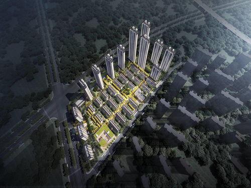 武汉潘大观最新爆料,揭秘武汉重大事件背后真相  第3张